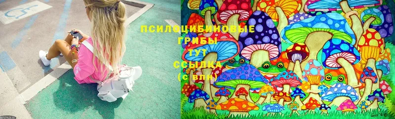 Галлюциногенные грибы MAGIC MUSHROOMS  Туринск 