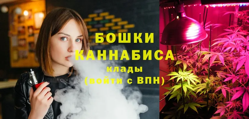 мега tor  где купить наркотик  Туринск  Бошки марихуана SATIVA & INDICA 